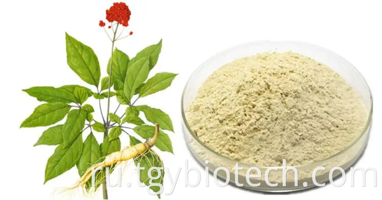 Panax Ginseng Root Extract